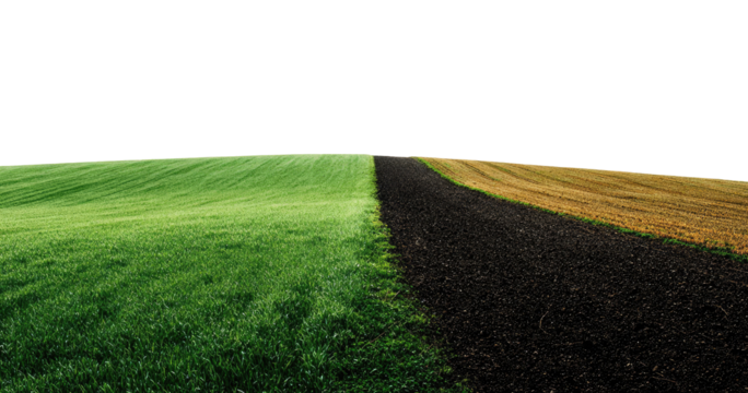 A panoramic view of a field with alternating bands of vibrant green grass, tan/brown harvested crop, and dark soil.  A horizon line separates the field from the dark sky