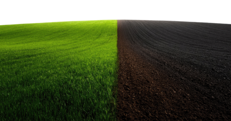 Divided field, vibrant green grass on one side, dark plowed earth on the other, strong contrast
