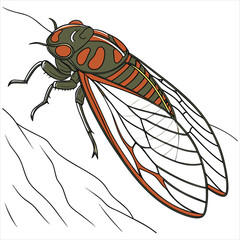 cicadas bundle svg 