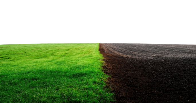 Green grass field meets dark plowed earth