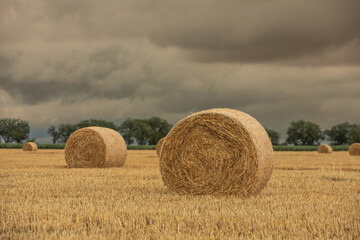 Fototapeta premium Hay Bales in a Field Under a Stormy Sky