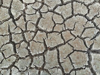 Rice fields are dry and barren in the long dry season, Top view 