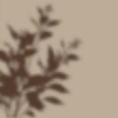Background with a defocussed plant shadow overlay 