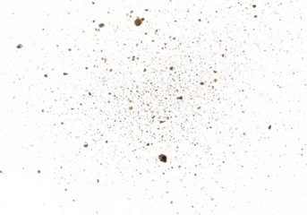 Scattered dust particles and dirt specks isolated on a transparent background
