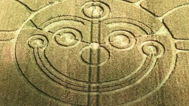 Aerial view rotating above smiling joker face in golden Wiltshire crop circle harvest