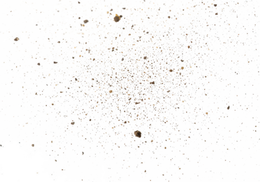 Scattered dust particles and dirt specks isolated on a transparent background