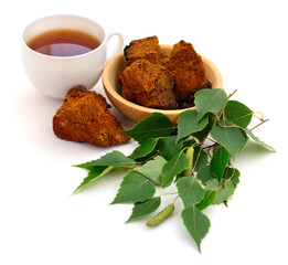 Pieces of birch chaga isolated.