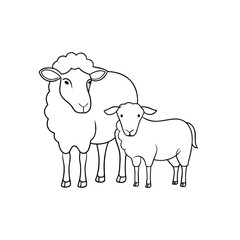 vector illustration of a sheep