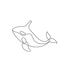 vector illustration of a shark