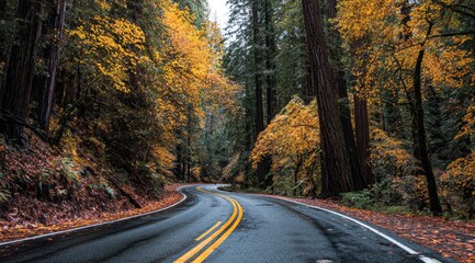 Winding road through a vibrant autumn forest