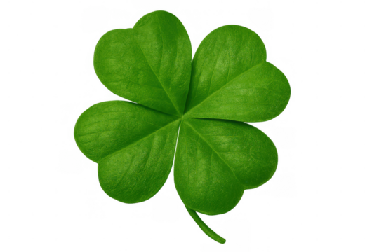 Green four-leaf clover representing hope, luck, faith and love, isolated on transparent background
