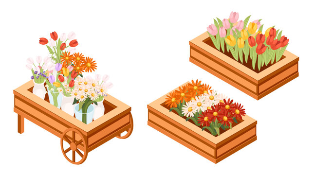 Isometric wooden flower cart collection. Rectangular planter boxes with assorted flowers. Cart with wheels for transportation. Colorful blooms display. Vector illustration isolated on white