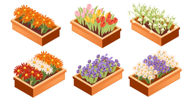 Isometric wooden planter box collection. Rectangular containers with various flowers and plants. Orange, purple, and white blooms arranged in rows. Vector illustration isolated on white