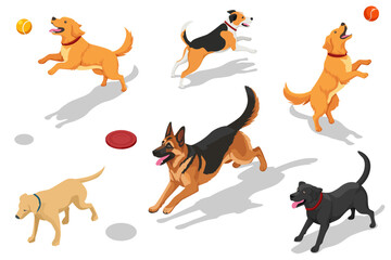 Isometric illustration of different dogs playing with ball and frisbee. Various dog breeds running, jumping and having fun. Pet activity and outdoor play concept