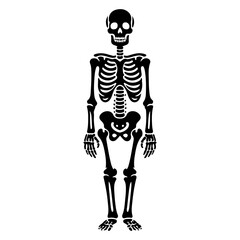 SKELETON