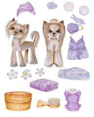 The watercolor illustration of two dogs stand next to each other. One of the dogs wears a towel. In the background there is a bath and a bucket. Mocepa. robe. SPA design for sites of inviting bathroom