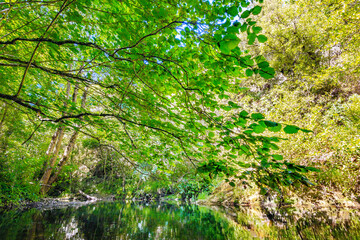 The Orbieu River in French Occitania. Its source is in the Corbi&egrave;res in Aude.
