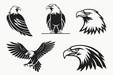 set of eagle