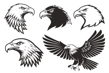 Obraz premium vector set of chicken