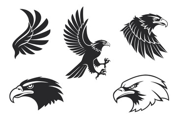 Fototapeta premium eagle