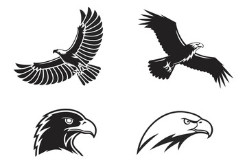 eagle vector illustration