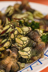close up of a fresh goose barnacle percebe, exotic seafood detail