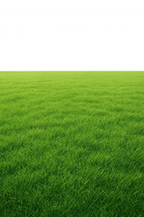 Obraz premium Vast, Lush Green Grass Field Stretching Towards a Sharp Horizon Under a Deep Black Sky