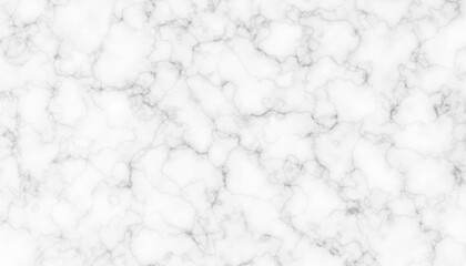 Smooth White Marble Texture with Gray Veins