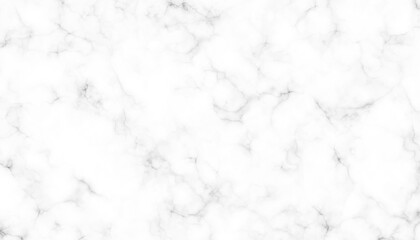White Marble Texture with Light Grey Veins