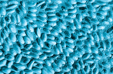 Close-up of a sidewalk paved with oval blue stones. Sidewalk background texture. Stone background