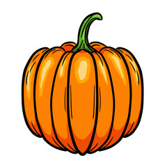 Vegetable pumpkin vector illustration. Autumn pumpkin symbol for Halloween or Thanksgiving. Flat design. Orange pumpkin silhouette on white background