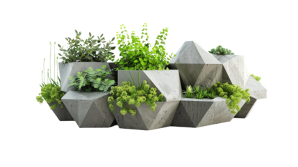 Arrangement of Angular Planters on white background