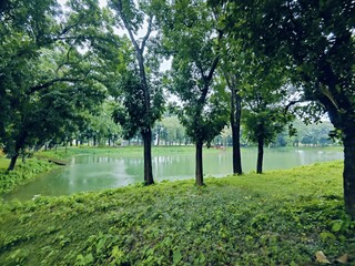 Beautiful landscape featuring a tranquil lake surrounded by verdant greenery and tall trees. Reflects the calming ambiance of nature and tranquility, providing a sense of peace and relaxation.