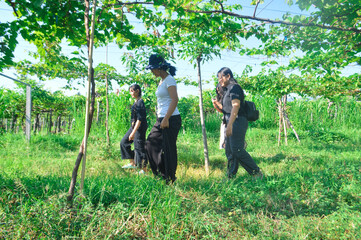 Under morning sun, the girls walk along a grassy path surrounded by vines and leaves, making their...