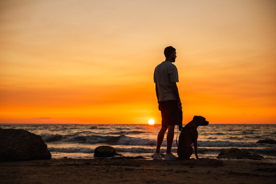 Man with a German Boxer dog sitting on a sandy beach, watching the sunset over the ocean waves. - Powered by Adobe