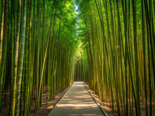 Serene Bamboo Forest Path &ndash; Tranquil Nature Escape