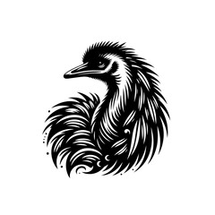 Emu bird isolated on white background
