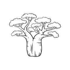 Hand drawn illustration of a baobab tree in black and white