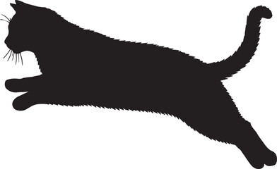 Asian cat jumping full image in silhouette image white backgrpound.