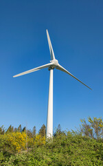 closeup on windmill in greenery meadow and blue sky background