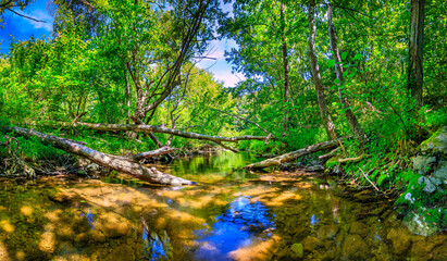 Obraz premium The Orbieu River in French Occitania. Its source is in the Corbières in Aude. 