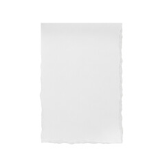 Fototapeta premium a single rectangular piece of pristine plain white paper with rough, naturally torn edges and fibrous texture, photographed from a direct top-down view on a transparent seamless background with even