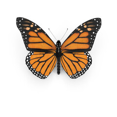 Obraz premium Monarch Butterfly in Flight Isolated on Transparent Background