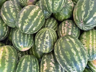 A close-up shot shows a pile of ripe watermelons with green and white striped skin. Concept of:...