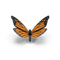 Obraz premium Monarch Butterfly in Flight Isolated on Transparent Background