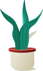 Vibrant green potted plant with textured leaves in a simple white and red container on a white background