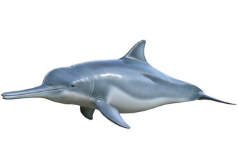 Fototapeta premium A striking illustration of a dolphin swimming in the ocean, isolated on a transparent background, emphasizing its sleek body and aquatic grace