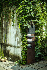 Ancient Wall with Vines and Signpost 