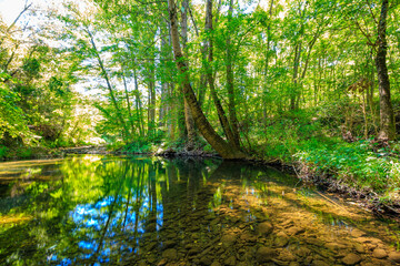 Obraz premium The Orbieu River in French Occitania. Its source is in the Corbières in Aude. 