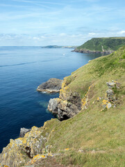 green cliffs at lantic bay in cornwall
